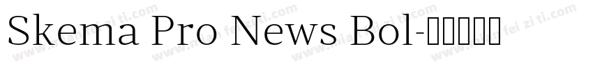 Skema Pro News Bol字体转换